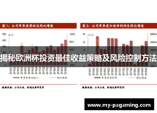 揭秘欧洲杯投资最佳收益策略及风险控制方法