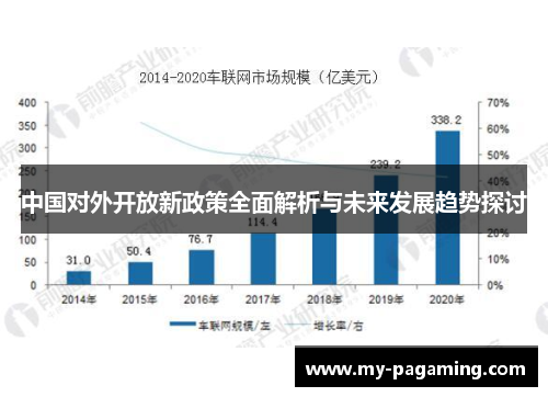 中国对外开放新政策全面解析与未来发展趋势探讨