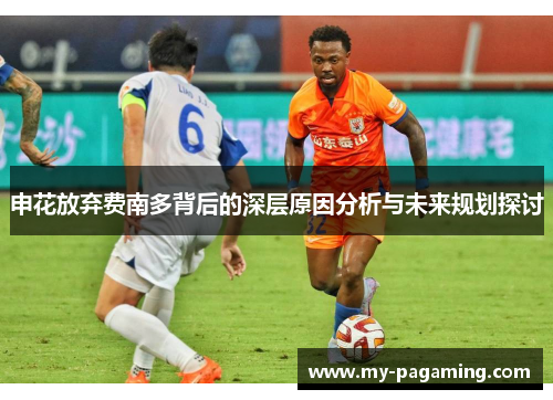 申花放弃费南多背后的深层原因分析与未来规划探讨 申花放弃费南多背后的深层原因分析与未来规划探讨