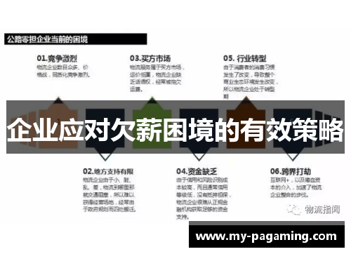 企业应对欠薪困境的有效策略 企业应对欠薪困境的有效策略
