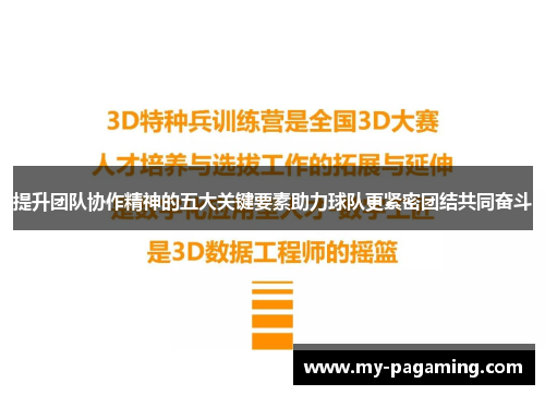 提升团队协作精神的五大关键要素助力球队更紧密团结共同奋斗