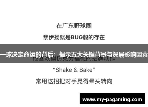 一球决定命运的背后：揭示五大关键背景与深层影响因素
