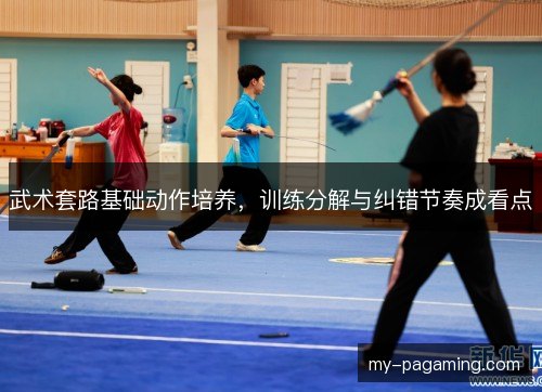 武术套路基础动作培养,训练分解与纠错节奏成看点 武术套路基础动作培养,训练分解与纠错节奏成看点